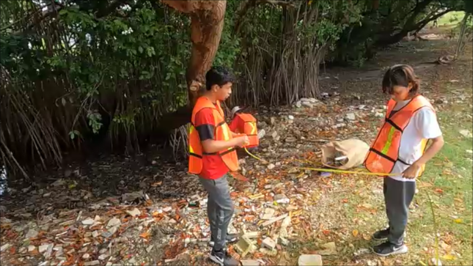 Brigada Universitaria